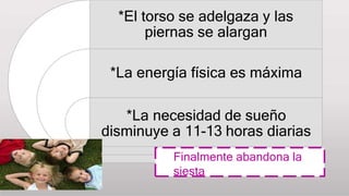 *El torso se adelgaza y las
piernas se alargan
*La energía física es máxima
*La necesidad de sueño
disminuye a 11-13 horas diarias
Finalmente abandona la
siesta
 