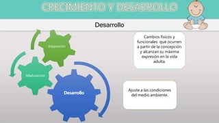 Desarrollo
Desarrollo
Maduración
Adaptación
Cambios físicos y
funcionales que ocurren
a partir de la concepción
y alcanzan su máxima
expresión en la vida
adulta.
Ajuste a las condiciones
del medio ambiente.
 