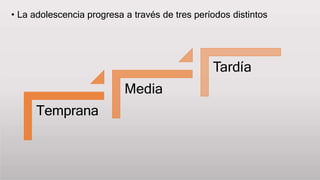 • La adolescencia progresa a través de tres períodos distintos
Media
Temprana
Tardía
 