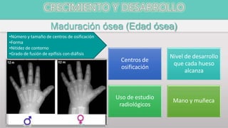 Maduración ósea (Edad ósea)
Centros de
osificación
Nivel de desarrollo
que cada hueso
alcanza
Uso de estudio
radiológicos
Mano y muñeca
•Número y tamaño de centros de osificación
•Forma
•Nitidez de contorno
•Grado de fusión de epífisis con diáfisis
 