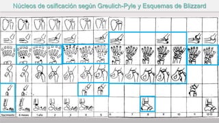 Núcleos de osificación según Greulich-Pyle y Esquemas de Blizzard
 