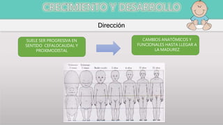 Dirección
SUELE SER PROGRESIVA EN
SENTIDO CEFALOCAUDAL Y
PROXIMODISTAL
CAMBIOS ANATÓMICOS Y
FUNCIONALES HASTA LLEGAR A
LA MADUREZ
 