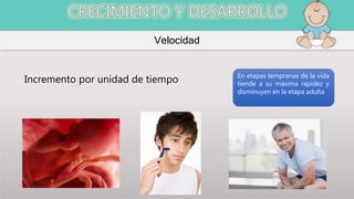 Velocidad
Incremento por unidad de tiempo En etapas tempranas de la vida
tiende a su máxima rapidez y
disminuyen en la etapa adulta
 