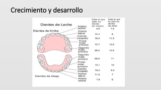 Crecimiento y desarrollo
 