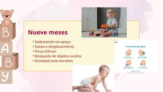 ⚬Sedestación sin apoyo
⚬Gateo o desplazamiento
⚬Pinza inferior
⚬Búsqueda de objetos ocultos
⚬Ansiedad ante extraños
Nueve meses
 