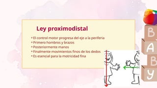 ⚬El control motor progresa del eje a la periferia
⚬Primero hombros y brazos
⚬Posteriormente manos
⚬Finalmente movimientos finos de los dedos
⚬Es esencial para la motricidad fina
Ley proximodistal
 