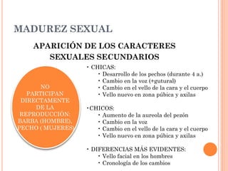 MADUREZ SEXUAL
APARICIÓN DE LOS CARACTERES
SEXUALES SECUNDARIOS
NO
PARTICIPAN
DIRECTAMENTE
DE LA
REPRODUCCIÓN:
BARBA (HOMBRE),
PECHO ( MUJERES)
• CHICAS:
• Desarrollo de los pechos (durante 4 a.)
• Cambio en la voz (+gutural)
• Cambio en el vello de la cara y el cuerpo
• Vello nuevo en zona púbica y axilas
•CHICOS:
• Aumento de la aureola del pezón
• Cambio en la voz
• Cambio en el vello de la cara y el cuerpo
• Vello nuevo en zona púbica y axilas
• DIFERENCIAS MÁS EVIDENTES:
• Vello facial en los hombres
• Cronología de los cambios
 