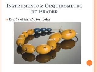 INSTRUMENTOS: ORQUIDOMETRO
DE PRADER
 Evalúa el tamaño testicular
 