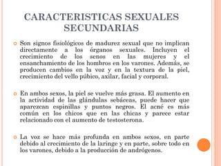 CARACTERISTICAS SEXUALES
SECUNDARIAS
 Son signos fisiológicos de madurez sexual que no implican
directamente a los órganos sexuales. Incluyen el
crecimiento de los senos en las mujeres y el
ensanchamiento de los hombros en los varones. Además, se
producen cambios en la voz y en la textura de la piel,
crecimiento del vello púbico, axilar, facial y corporal.
 En ambos sexos, la piel se vuelve más grasa. El aumento en
la actividad de las glándulas sebáceas, puede hacer que
aparezcan espinillas y puntos negros. El acné es más
común en los chicos que en las chicas y parece estar
relacionado con el aumento de testosterona.
 La voz se hace más profunda en ambos sexos, en parte
debido al crecimiento de la laringe y en parte, sobre todo en
los varones, debido a la producción de andrógenos.
 