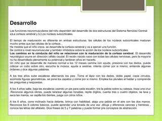 Desarrollo
Las funciones neuromusculares del niño dependen del desarrollo de dos estructuras del Sistema Nervioso Central:
a)La corteza cerebral y b) Los núcleos subcorticales.

El tiempo de maduración es diferente en ambas estructuras, las células de los núcleos subcorticales maduran
mucho antes que las células de la corteza...
Ha medida que el niño crece, se desarrolla la corteza cerebral y va a ejercer una función.
De control a nivel neuromuscular y también inhibidora sobre la acción de los núcleos subcorticales.
Los cambios en la conducta del niño se relacionan con la maduración de la corteza cerebral. El desarrollo
neurológico ocurre en dirección céfalo caudal. El recién nacido nace con todas las células nerviosas, pero la mayoría
no ha desarrollado plenamente su potencial y tardaran años en hacerlo.
Un niño que se desarrolla de manera normal a los 12 meses camina con ayuda, presiona con los dedos, puede
colocar un cubo sobre otro, escucha la música, ayuda a vestirse, intenta comer por si mismo, entiende algunas
órdenes y dice algunas palabras.

A los tres años sube escaleras alternando los pies .Toma el lápiz con los dedos, dobla papel, copia círculos,
acomoda figuras geométricas, se pone los zapatos y come por si mismo. Emplea los plurales al hablar y comprende
las preguntas y respuestas.

A los 4 años salta, baja las escaleras usando un pie para cada escalón, tira la pelota sobre su cabeza, traza una cruz
.Reconoce algunos olores, puede tararear algunas tonadas, repite dígitos, cuenta tres o cuatro objetos, se lava y
seca las manos, se cepilla los dientes, juega con otros niños.

A los 6 años, corre inclinado hacia delante, brinca con habilidad, ataja una pelota en el aire con las dos manos.
Reconoce los 6 colores básicos. puede aprender una tonada de una vez ,dibuja y diferencia varones y hembras ,
conoce las letras del alfabeto. Dice frases de 5 y 7 palabras y puede formar pre conceptos de abstracción.
 