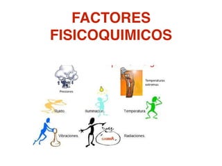 FACTORES
FISICOQUIMICOS
 