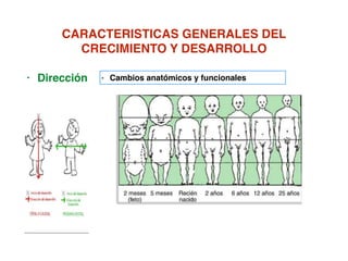 CARACTERISTICAS GENERALES DEL
CRECIMIENTO Y DESARROLLO
• Dirección - Cambios anatómicos y funcionales
 