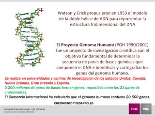 CRECIMIENTO Y DESARROLLO
Watson y Crick propusieron en 1953 el modelo
de la doble hélice de ADN para representar la
estructura tridimensional del DNA
El Proyecto Genoma Humano (PGH 1990/2001)
fue un proyecto de investigación científica con el
objetivo fundamental de determinar la
secuencia de pares de bases químicas que
componen el DNA e identificar y cartografiar los
genes del genoma humano.
Se realizó en universidades y centros de investigación de los Estados Unidos, Canadá,
Nueva Zelanda, Gran Bretaña y España.
3.200 millones de pares de bases forman genes, repartidos entre los 23 pares de
cromosomas.
El Consorcio Internacional ha calculado que el genoma humano contiene 20.500 genes.
 
