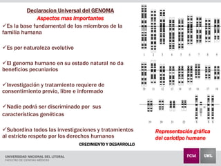 CRECIMIENTO Y DESARROLLO
Declaracion Universal del GENOMA
Aspectos mas importantes
Es la base fundamental de los miembros de la
familia humana
Es por naturaleza evolutivo
El genoma humano en su estado natural no da
beneficios pecuniarios
Investigación y tratamiento requiere de
consentimiento previo, libre e informado
Nadie podrá ser discriminado por sus
características genéticas
Subordina todos las investigaciones y tratamientos
al estricto respeto por los derechos humanos
Representación gráfica
del cariotipo humano
 