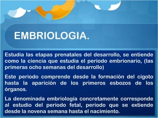 EMBRIOLOGIA.
Estudia las etapas prenatales del desarrollo, se entiende
como la ciencia que estudia el periodo embrionario, (las
primeras ocho semanas del desarrollo)
Este periodo comprende desde la formación del cigoto
hasta la aparición de los primeros esbozos de los
órganos.
La denominada embriología concretamente corresponde
al estudio del periodo fetal, periodo que se extiende
desde la novena semana hasta el nacimiento.
 