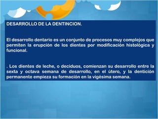 DESARROLLO DE LA DENTINCION.


El desarrollo dentario es un conjunto de procesos muy complejos que
permiten la erupción de los dientes por modificación histológica y
funcional.


. Los dientes de leche, o deciduos, comienzan su desarrollo entre la
sexta y octava semana de desarrollo, en el útero, y la dentición
permanente empieza su formación en la vigésima semana.
 
