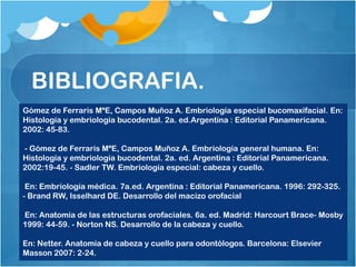 BIBLIOGRAFIA.
Gómez de Ferraris MªE, Campos Muñoz A. Embriología especial bucomaxifacial. En:
Histología y embriología bucodental. 2a. ed.Argentina : Editorial Panamericana.
2002: 45-83.

- Gómez de Ferraris MªE, Campos Muñoz A. Embriología general humana. En:
Histología y embriología bucodental. 2a. ed. Argentina : Editorial Panamericana.
2002:19-45. - Sadler TW. Embriología especial: cabeza y cuello.

 En: Embriología médica. 7a.ed. Argentina : Editorial Panamericana. 1996: 292-325.
- Brand RW, Isselhard DE. Desarrollo del macizo orofacial

En: Anatomía de las estructuras orofaciales. 6a. ed. Madrid: Harcourt Brace- Mosby
1999: 44-59. - Norton NS. Desarrollo de la cabeza y cuello.

En: Netter. Anatomía de cabeza y cuello para odontólogos. Barcelona: Elsevier
Masson 2007: 2-24.
 
