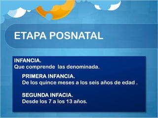 ETAPA POSNATAL

INFANCIA.
Que comprende las denominada.
  PRIMERA INFANCIA.
  De los quince meses a los seis años de edad .

  SEGUNDA INFACIA.
  Desde los 7 a los 13 años.
 