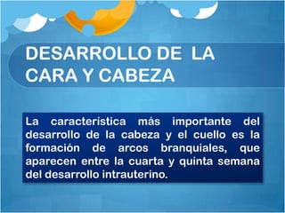 DESARROLLO DE LA
CARA Y CABEZA

La característica más importante del
desarrollo de la cabeza y el cuello es la
formación de arcos branquiales, que
aparecen entre la cuarta y quinta semana
del desarrollo intrauterino.
 