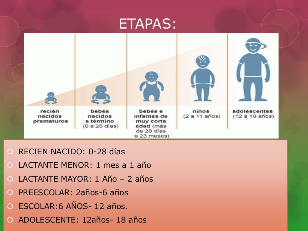 Etapas De Crecimiento Etapas De Crecimiento