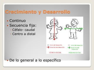 Crecimiento y Desarrollo
 Continuo
 Secuencia fija:
◦ Céfalo- caudal
◦ Centro a distal
 De lo general a lo específico
 
