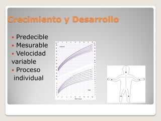 Crecimiento y Desarrollo
 Predecible
 Mesurable
 Velocidad
variable
 Proceso
individual
 