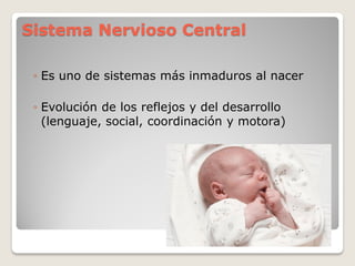 Sistema Nervioso Central
◦ Es uno de sistemas más inmaduros al nacer
◦ Evolución de los reflejos y del desarrollo
(lenguaje, social, coordinación y motora)
 