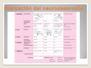 Evaluación del neurodesarrollo
 
