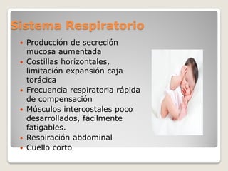 Sistema Respiratorio
 Producción de secreción
mucosa aumentada
 Costillas horizontales,
limitación expansión caja
torácica
 Frecuencia respiratoria rápida
de compensación
 Músculos intercostales poco
desarrollados, fácilmente
fatigables.
 Respiración abdominal
 Cuello corto
 