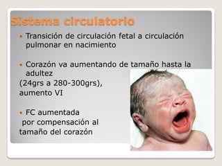 Sistema circulatorio
 Transición de circulación fetal a circulación
pulmonar en nacimiento
 Corazón va aumentando de tamaño hasta la
adultez
(24grs a 280-300grs),
aumento VI
 FC aumentada
por compensación al
tamaño del corazón
 