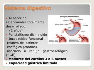 Sistema digestivo
 Al nacer no
se encuentra totalmente
desarrollado
(2 años)
 Peristaltismo disminuido
 Incapacidad funcional
relativa del esfínter
esofágico (cardias)
asociado a reflujo gastroesofágico
(RGE)
 Madurez del cardias 3 a 6 meses
 Capacidad gástrica limitada
 