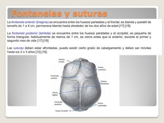 Fontanelas y suturas
 