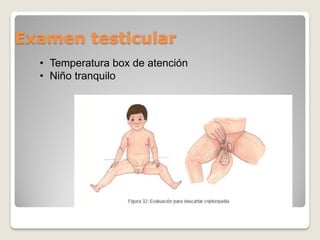 Examen testicular
• Temperatura box de atención
• Niño tranquilo
 