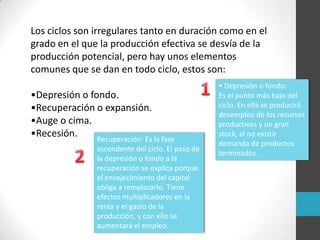 Los ciclos son irregulares tanto en duración como en el
grado en el que la producción efectiva se desvía de la
producción potencial, pero hay unos elementos
comunes que se dan en todo ciclo, estos son:
•Depresión o fondo.
•Recuperación o expansión.
•Auge o cima.
•Recesión.
 Depresión o fondo:
Es el punto más bajo del
ciclo. En ella se producirá
desempleo de los recursos
productivos y un gran
stock, al no existir
demanda de productos
terminados.
Recuperación: Es la fase
ascendente del ciclo. El paso de
la depresión o fondo a la
recuperación se explica porque
el envejecimiento del capital
obliga a remplazarlo. Tiene
efectos multiplicadores en la
renta y el gasto de la
producción, y con ello se
aumentará el empleo.
 