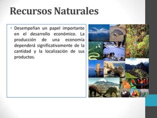 • Desempeñan un papel importante
en el desarrollo económico. La
producción de una economía
dependerá significativamente de la
cantidad y la localización de sus
productos.
Recursos Naturales
 