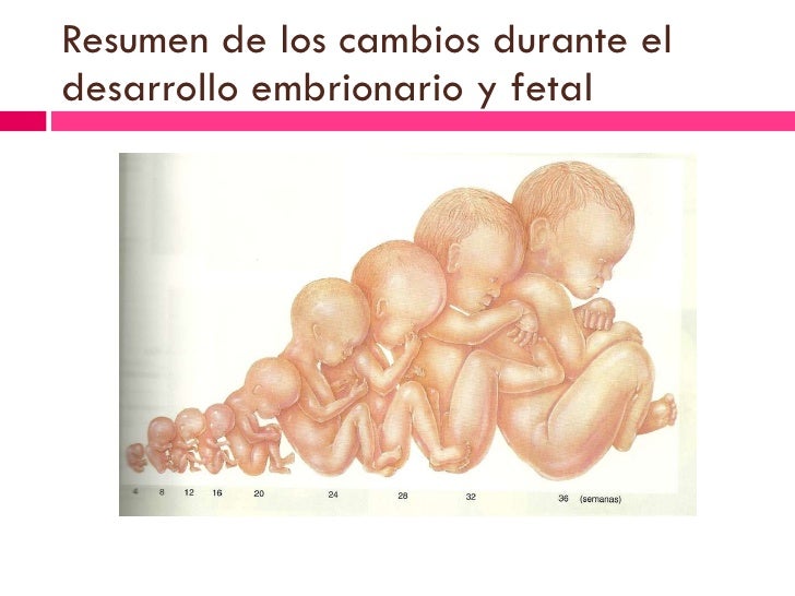 La eccema sobre los codos curar