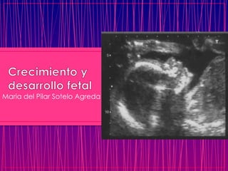 Crecimiento y desarrollo fetal  Maria del Pilar Sotelo Agreda 