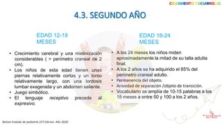 CRECIMIENTO Y DESARROLLO
4.3. SEGUNDO AÑO
Nelson tratado de pediatría 21ª Edicion. Año 2020.
EDAD 12-18
MESES
EDAD 18-24
MESES
• Crecimiento cerebral y una mielinización
considerables ( > perímetro craneal de 2
cm).
• Los niños de esta edad tienen unas
piernas relativamente cortas y un torso
relativamente largo, con una lordosis
lumbar exagerada y un abdomen saliente.
• Juego simbólico.
• El lenguaje receptivo precede al
expresivo.
• A los 24 meses los niños miden
aproximadamente la mitad de su talla adulta
final.
• A los 2 años se ha adquirido el 85% del
perímetro craneal adulto.
• Permanencia del objeto.
• Ansiedad de separación /objeto de transición.
• Vocabulario se amplía de 10-15 palabras a los
18 meses a entre 50 y 100 a los 2 años.
 