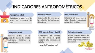 INDICADORES ANTROPOMÉTRICOS
IMC para la Edad - IMC/E
Correlaciona de acuerdo
con la edad, el peso
corporal total en relación a
la talla.
peso [kg]/ estatura [m2]
Punto medio entre los
puntos acromial y radial o
entre los puntos acromial y
olecranon.
Perímetro braquial
Relaciona el peso con la
edad sin considerar la
talla.
Peso para la edad
Relaciona el peso con la
talla. Estado nutricional
actual del individuo.
Peso para la Talla
Relaciona la talla con la
edad. Da cuenta del estado
nutricional histórico o
acumulativo.
Talla para la edad
Crecimiento del encéfalo y
la evolución de los huesos
del cráneo.
Perímetro cefálico
 