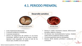 CRECIMIENTO Y DESARROLLO
4.1. PERIODO PRENATAL
Desarrollo somático
Periodo embrionario Periodo fetal
Nelson tratado de pediatría 21ª Edicion. Año 2020.
• 6 días implantación (blastocisto).
• 2 semanas ectodermo y endodermo.
• 3 semanas mesodermo.
• Semana 4-8 plegamiento del embrión en una forma
humanoide, aparecen yemas de los brazos y piernas.
Aparecen arcos braquiales. Se marca el sitio de los
futuros ojos, encefálo crece con rapidez.
• Semana 9: rápido crecimiento corporal, diferenciación
de tejidos, órganos y sistemas.
• 10 semanas cara reconociblemente humana. Intestino
medio retorna al abdomen desde el cordón.
• 12 semanas genitales externos distinguibles.
• Semana 20-24 alveolos primitivos y producción de
surfactante.
 