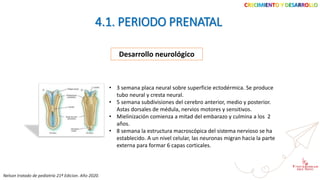 CRECIMIENTO Y DESARROLLO
4.1. PERIODO PRENATAL
Desarrollo neurológico
• 3 semana placa neural sobre superficie ectodérmica. Se produce
tubo neural y cresta neural.
• 5 semana subdivisiones del cerebro anterior, medio y posterior.
Astas dorsales de médula, nervios motores y sensitivos.
• Mielinización comienza a mitad del embarazo y culmina a los 2
años.
• 8 semana la estructura macroscópica del sistema nervioso se ha
establecido. A un nivel celular, las neuronas migran hacia la parte
externa para formar 6 capas corticales.
Nelson tratado de pediatría 21ª Edicion. Año 2020.
 