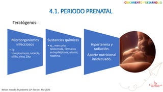 CRECIMIENTO Y DESARROLLO
4.1. PERIODO PRENATAL
Microorganismos
infecciosos
• Ej:
toxoplasmosis,rubéola,
sífilis, virus Zika
Sustancias químicas
• ej., mercurio,
talidomida, fármacos
antiepilépticos, etanol,
nicotina.
Hipertermia y
radiación.
Aporte nutricional
inadecuado.
Teratógenos:
Nelson tratado de pediatría 21ª Edicion. Año 2020.
 