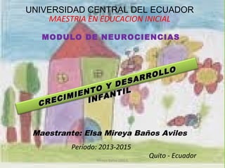 UNIVERSIDAD CENTRAL DEL ECUADOR
MAESTRIA EN EDUCACION INICIAL
MODULO DE NEUROCIENCIAS

SAR
E
Y D
NTO NTIL
IMIE INFA
REC
C

LLO
RO

Maestrante: Elsa Mireya Baños Aviles
Período: 2013-2015
Mireya Baños (2013)

Quito - Ecuador

 