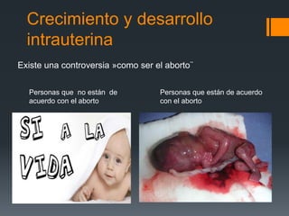 Crecimiento y desarrollo
intrauterina
Existe una controversia »como ser el aborto¨
Personas que no están de
acuerdo con el aborto
Personas que están de acuerdo
con el aborto
 