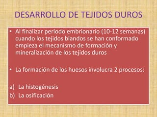DESARROLLO DE TEJIDOS DUROS
• Al finalizar periodo embrionario (10-12 semanas)
cuando los tejidos blandos se han conformado
empieza el mecanismo de formación y
mineralización de los tejidos duros
• La formación de los huesos involucra 2 procesos:
a) La histogénesis
b) La osificación
 