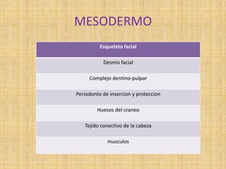 MESODERMO
Esqueleto facial
Desmis facial
Complejo dentino-pulpar
Periodonto de insercion y proteccion
Huesos del craneo
Tejido conectivo de la cabeza
musculos
 