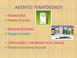 AGENTES TERATÓGENOS
• HIDANTOINA
Paladar fisurado
• BENZODIACEPINAS
Paladar hendido
• CORTICOIDES Y ANTIBIABETICOS ORALES
Paladar secundario fisurado
 