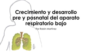 Crecimiento y desarrollo
pre y posnatal del aparato
respiratorio bajo
Por Robin Martínez
 