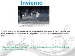 En este tiempo las plantas empiezan su periodo de descanso, al haber perdido sus
hojas y debido a la escases de luz empiezan a consumir sus reservas creadas en
otoño




 * Los sistemas de reproducción y cambio de hojas y demás varía según la latitud,
 tipo de planta y otros factores
 