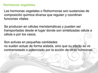Hormonas vegetales
Las hormonas vegetales o fitohormonas son sustancias de
composición química diversa que regulan y coordinan
funciones vitales.

Se producen en células meristemáticas y pueden ser
transportadas desde el lugar donde son sintetizadas célula a
célula o por los vasos.

Son activas en pequeñas cantidades
no suelen actuar de forma aislada, sino que su efecto se ve
contrarrestado o potenciado por la acción de otras hormonas.
 